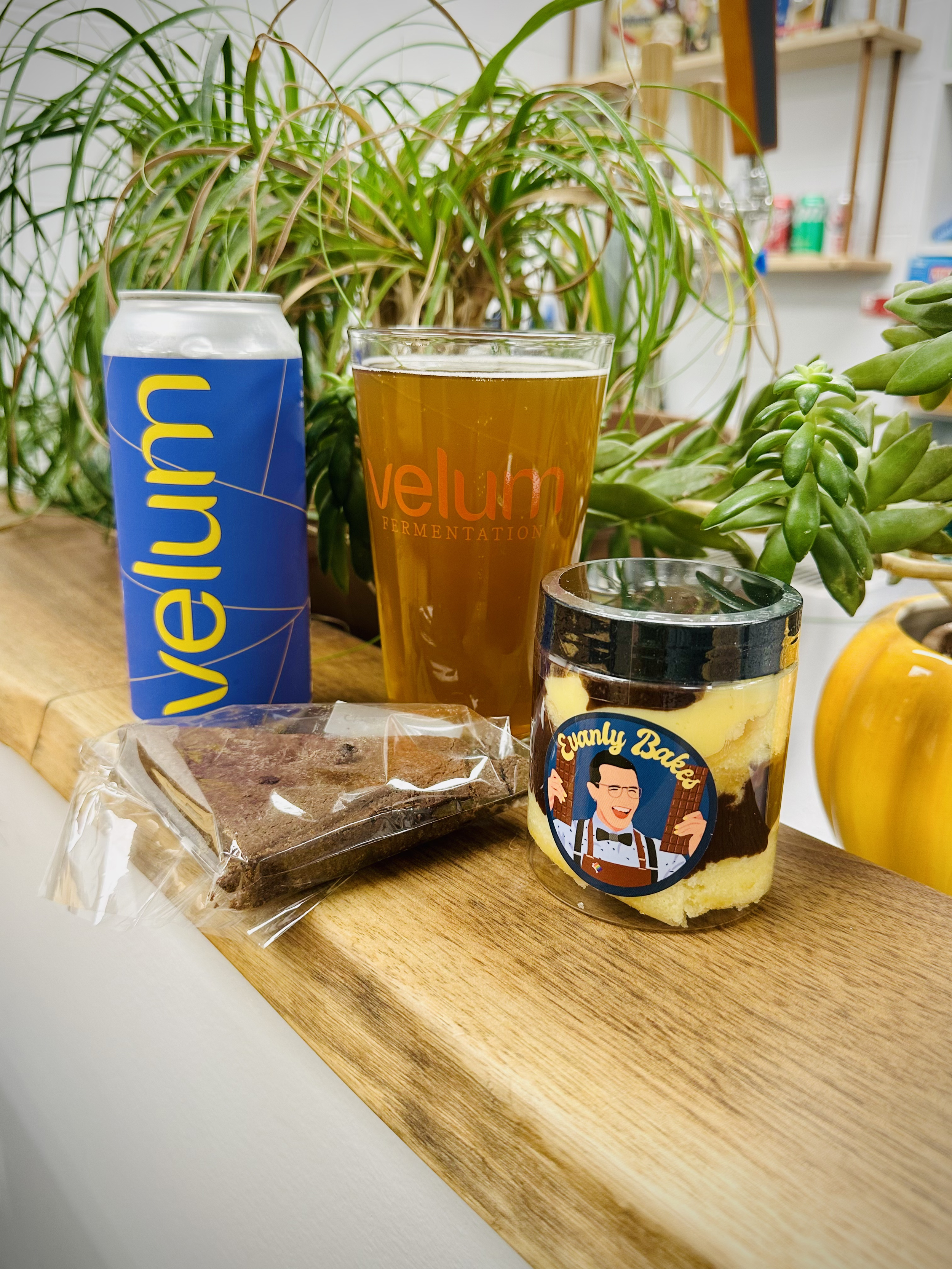Evanly Bakes Boston Cream Cake Jar, Espresso Brownie (Gluten Free), A Pint of Craft Beer from Velum Fine Fermentation, in front of many house plants