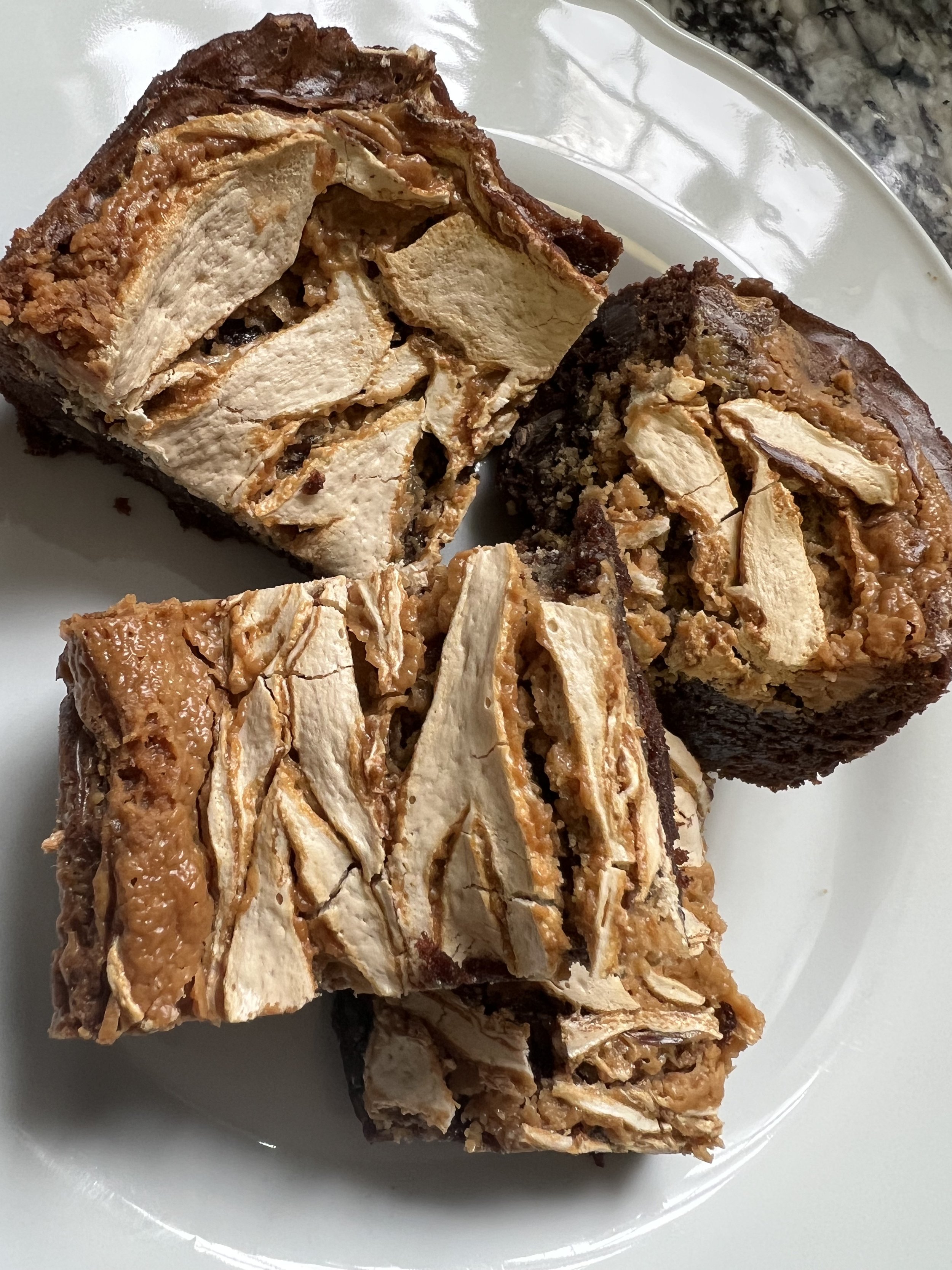 Marshmallow Peanut Butter Double Chocolate Brownies