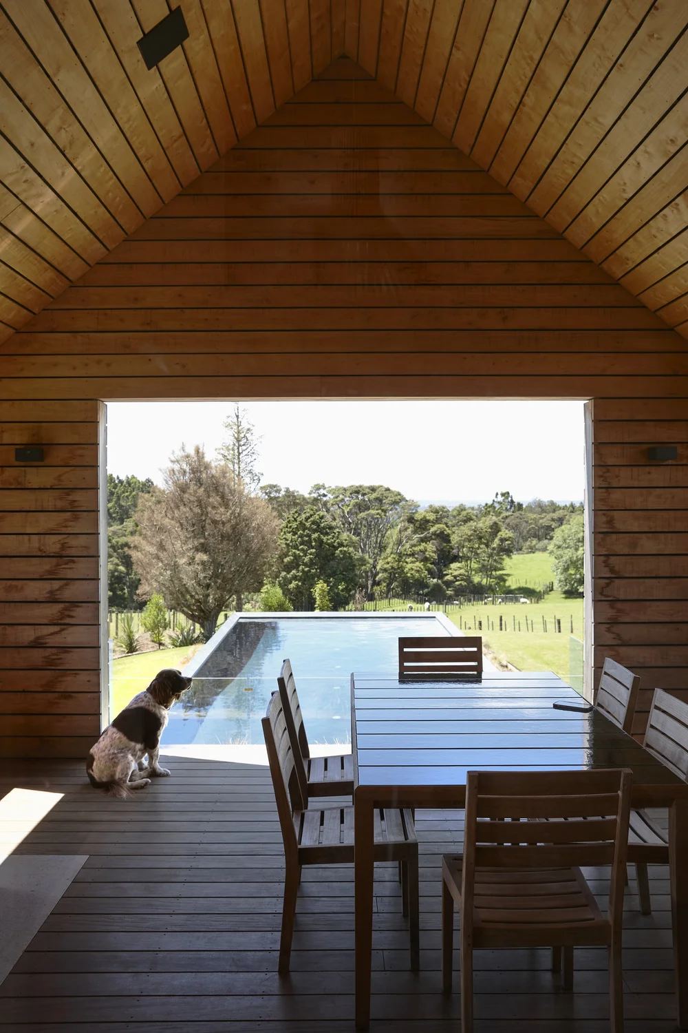Apple Shed — SGA