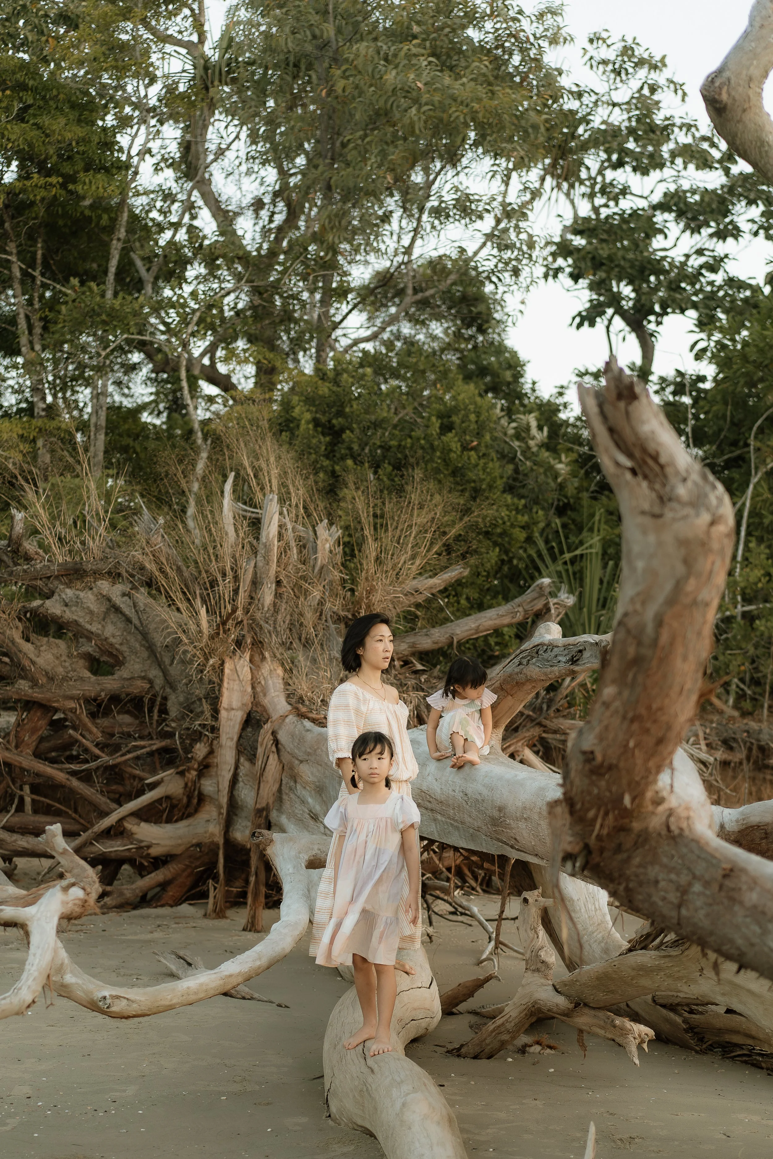 A family sitting on and standing around large pieces of driftwood on a beach. The scene is set against a background of dense green trees and shrubs, with a cloudy sky above.