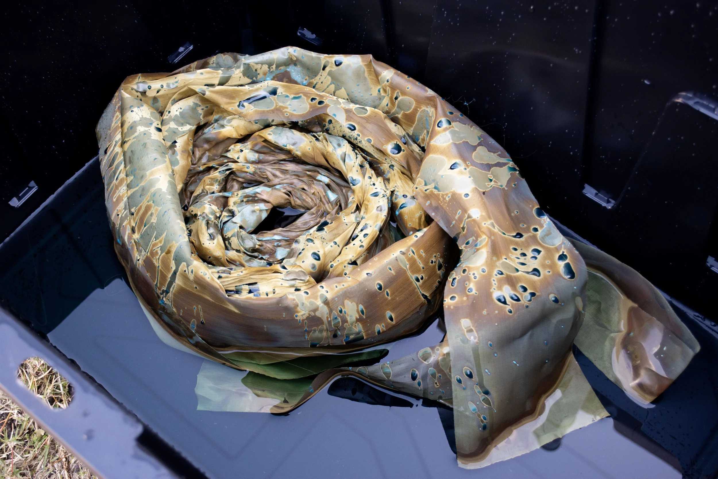 DSC_0421 (1) copy.jpg