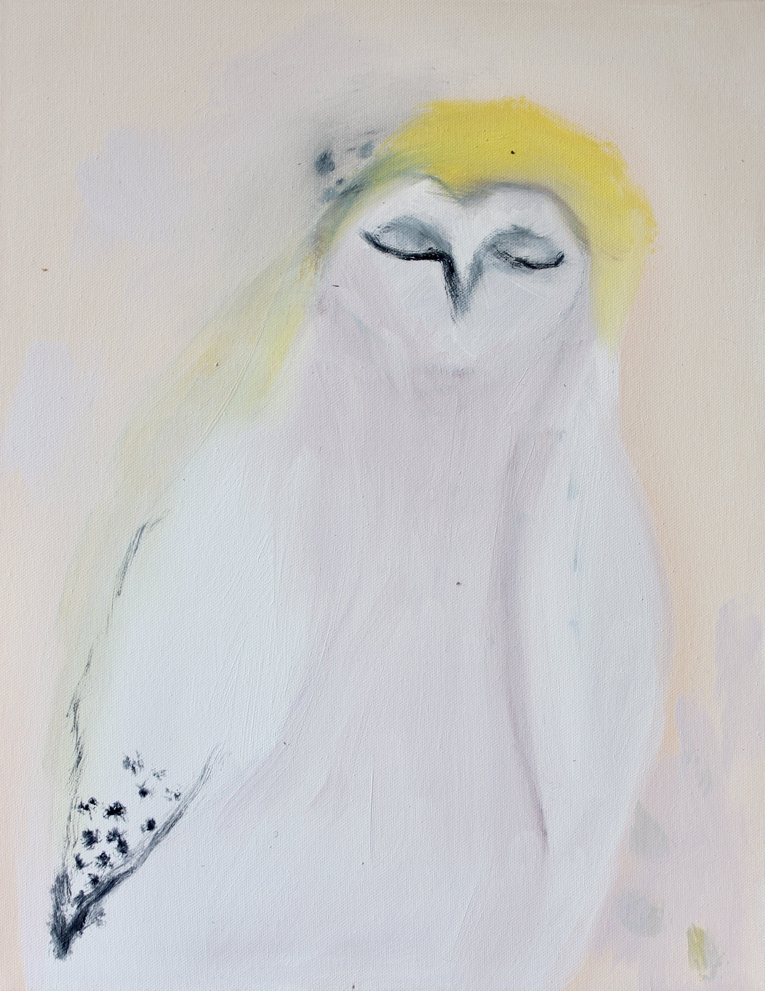 Luna Oil On Canvas $480
