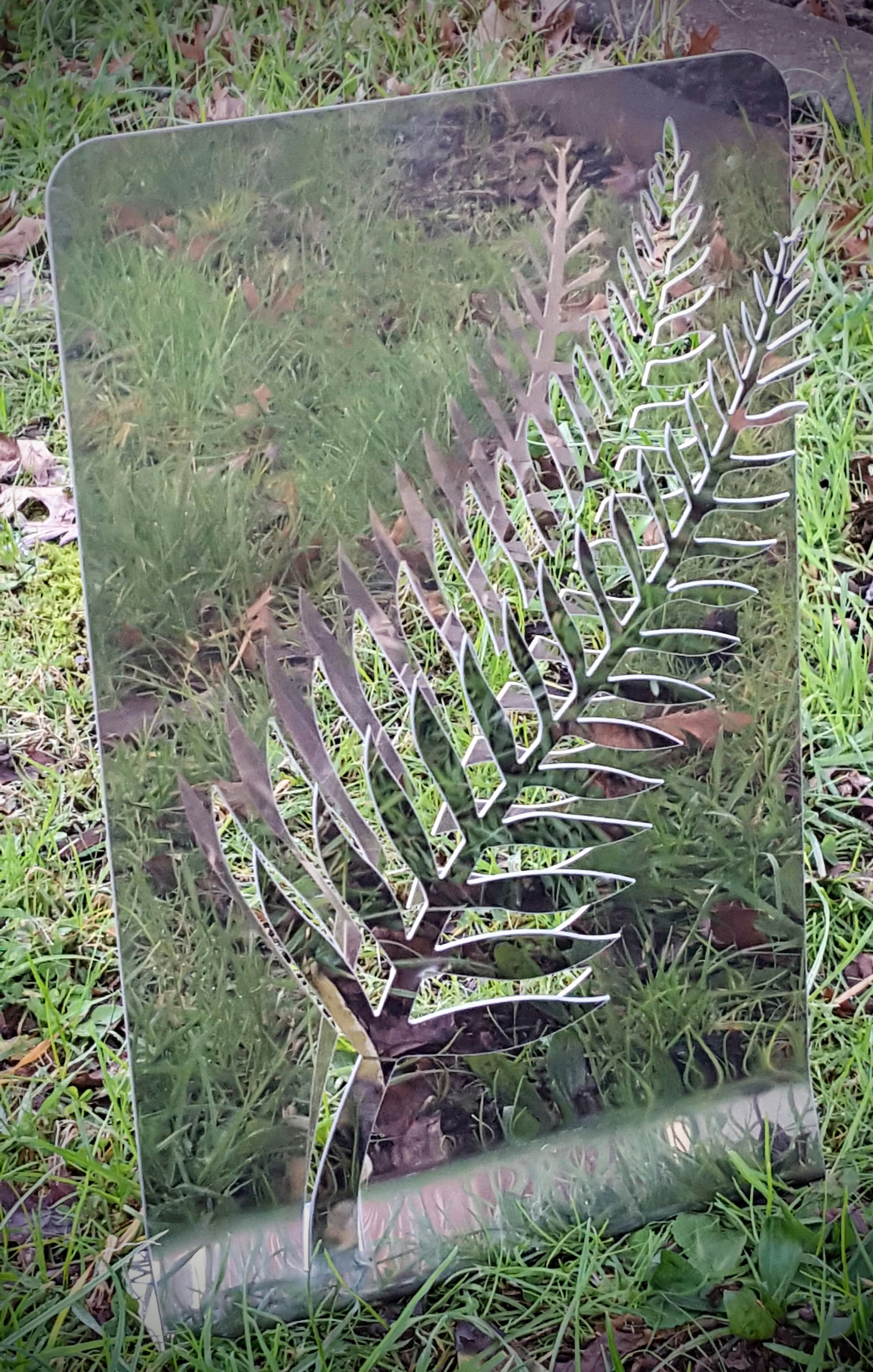 Silver Fern BA 3D on grass.jpg