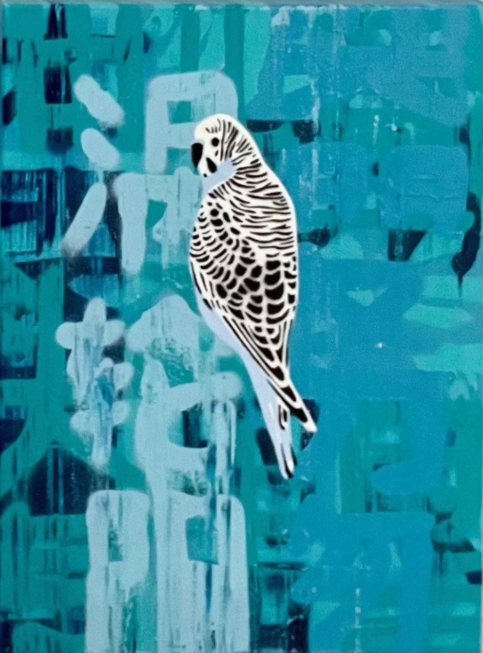Four+small+blue+budgies.jpg