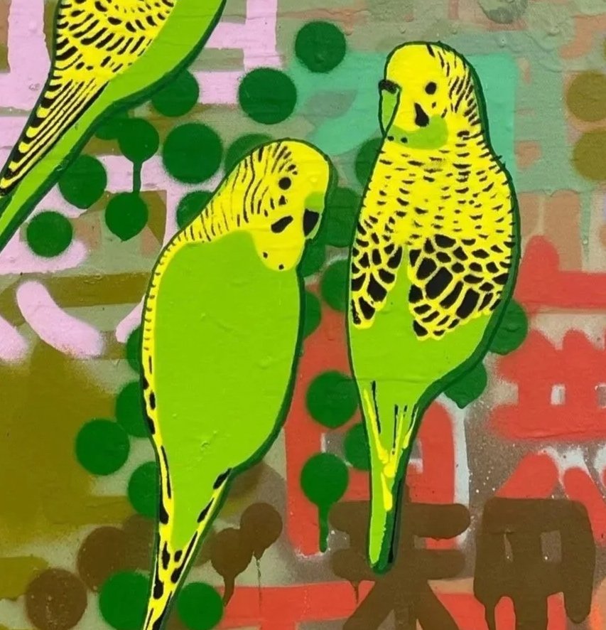 Three%252BGreen%252BAnd%252BGold%252BBudgies%252BIn%252BThe%252BBush.jpg