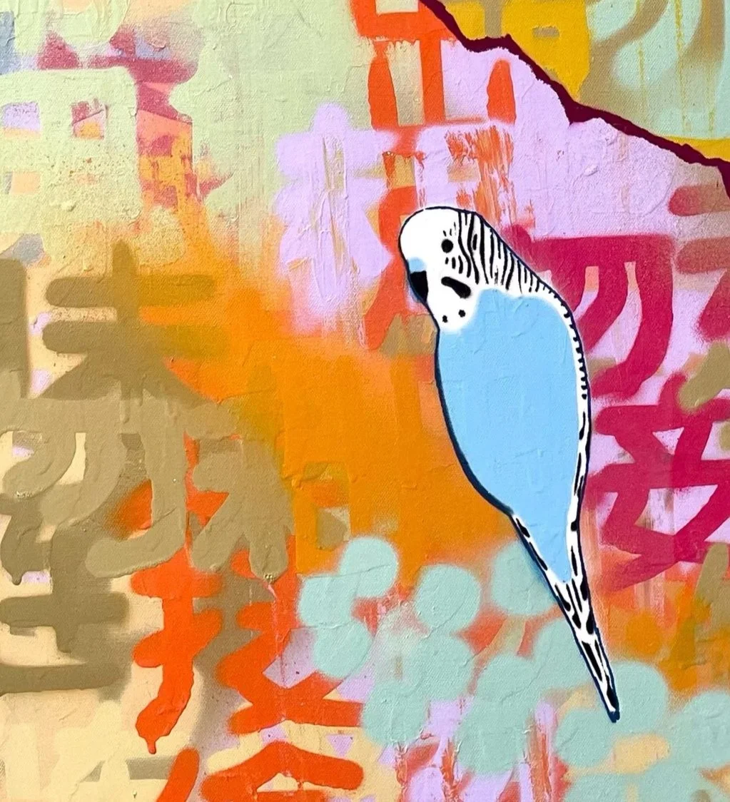 Four+Blue+Budgies+in+the+bush.jpg