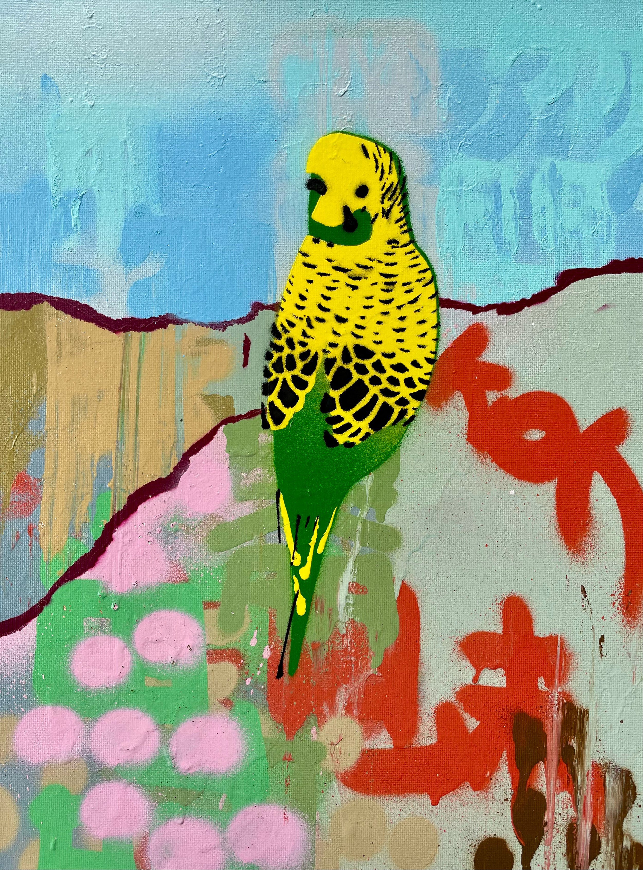 Small Green and Gold Budgie no.3.jpg