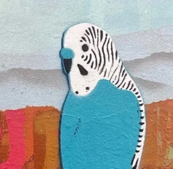 Two%252BBlue%252BAnd%252BWhite%252BBudgies%252BIn%252BThe%252BBush.jpg