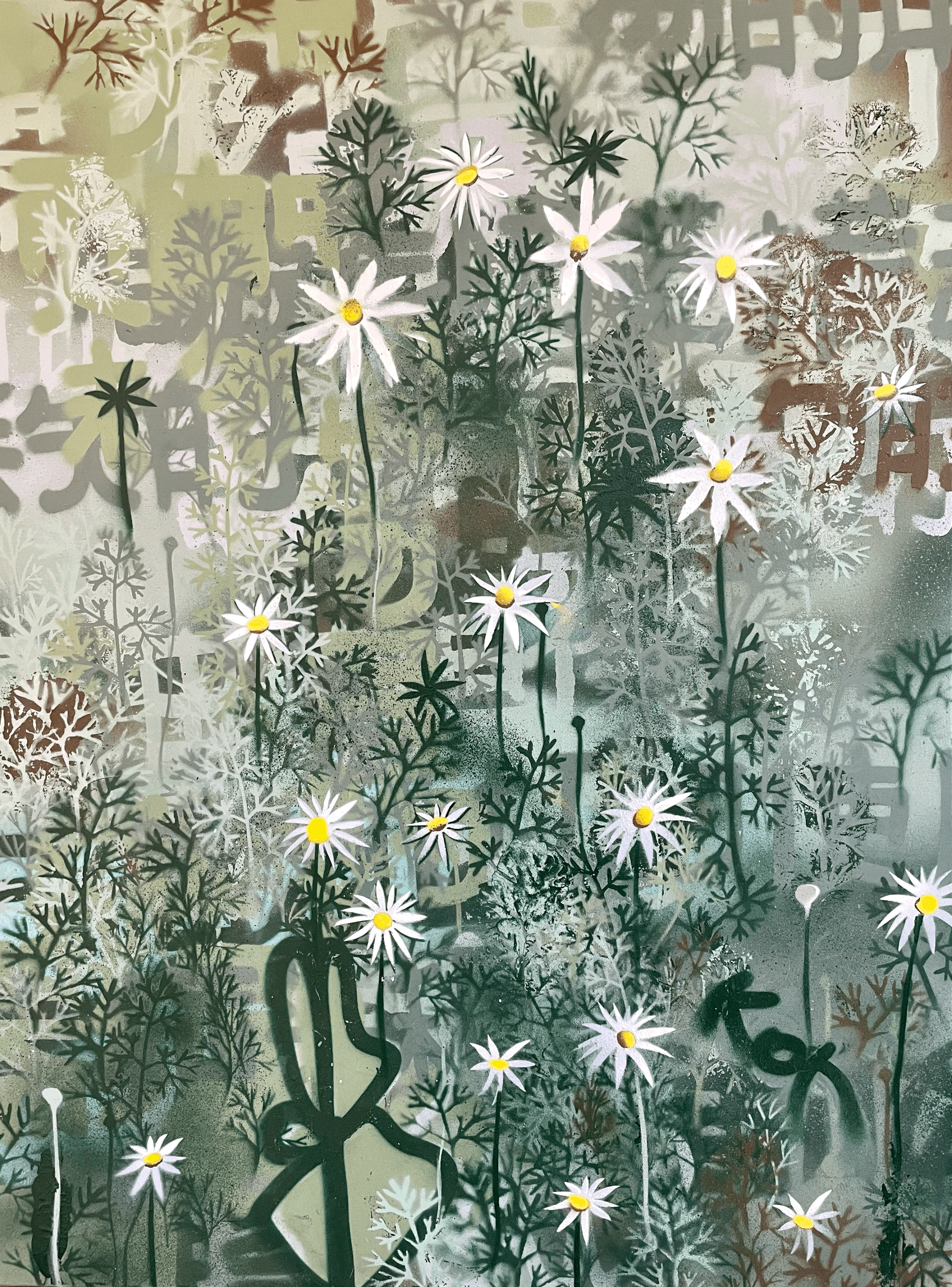 Flannel Flowers No.4