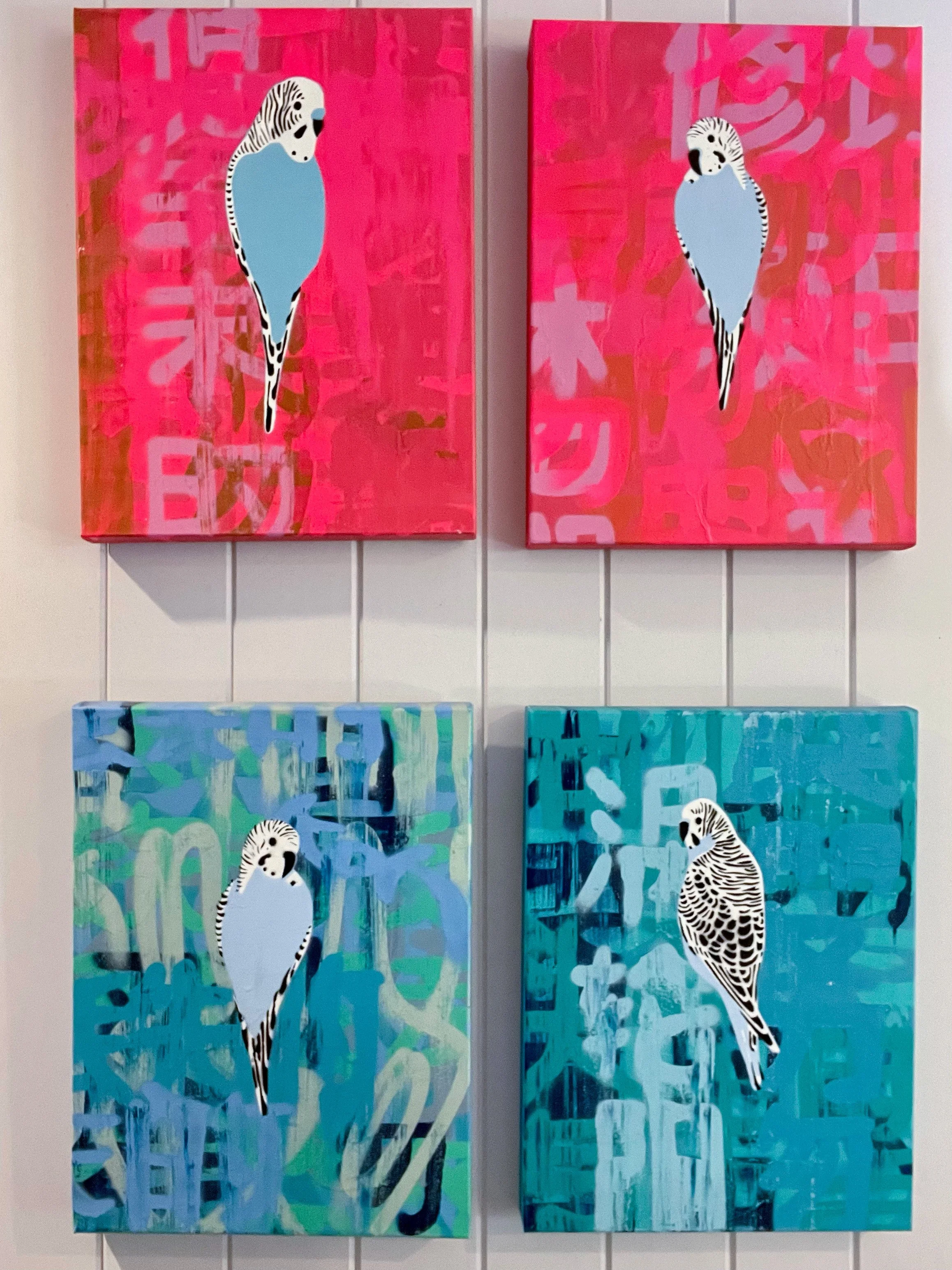 Four small blue budgies.jpg