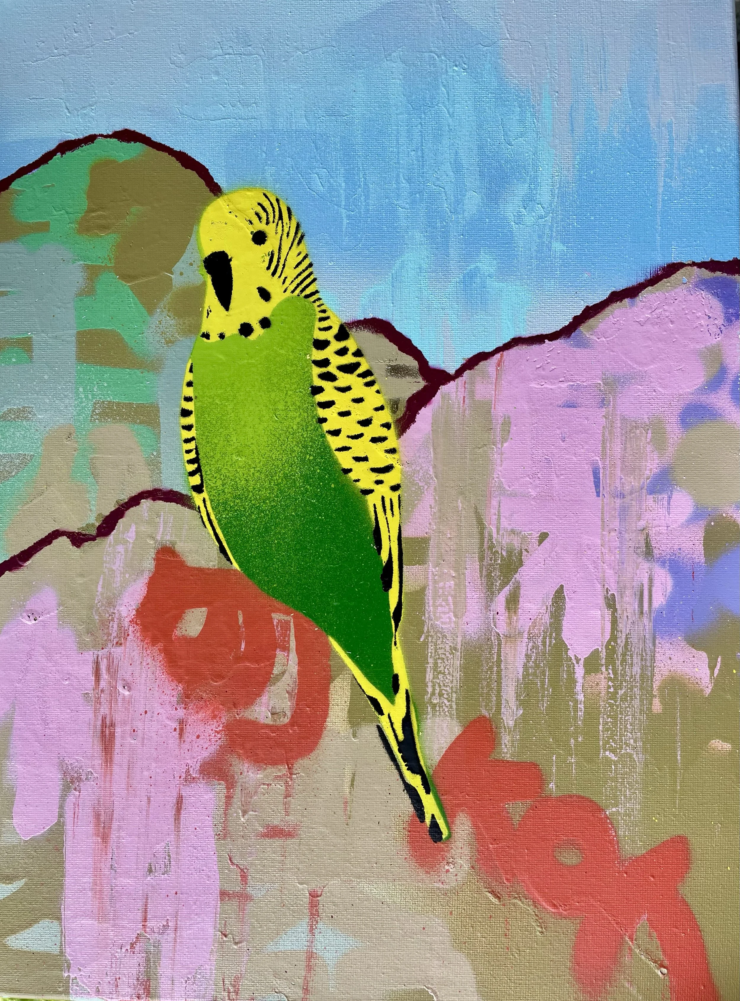 Small Green and Gold Budgie no.2.jpg
