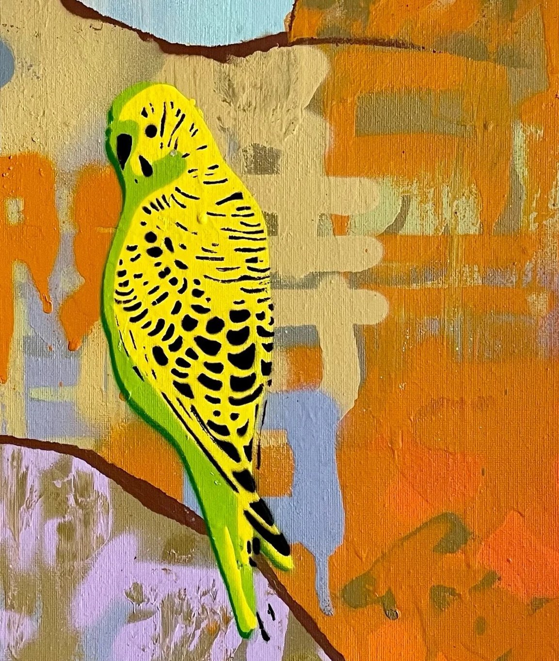 Two+Green+And+Gold+Budgies+in+the+bush.jpg