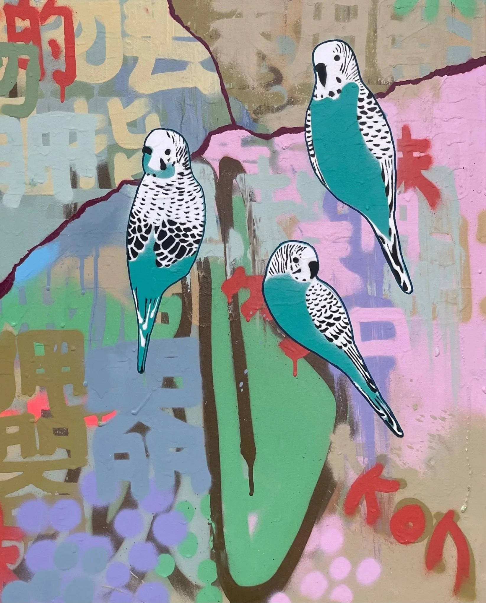 Four+Jade+And+White+Budgies+In+The+Bush.jpg