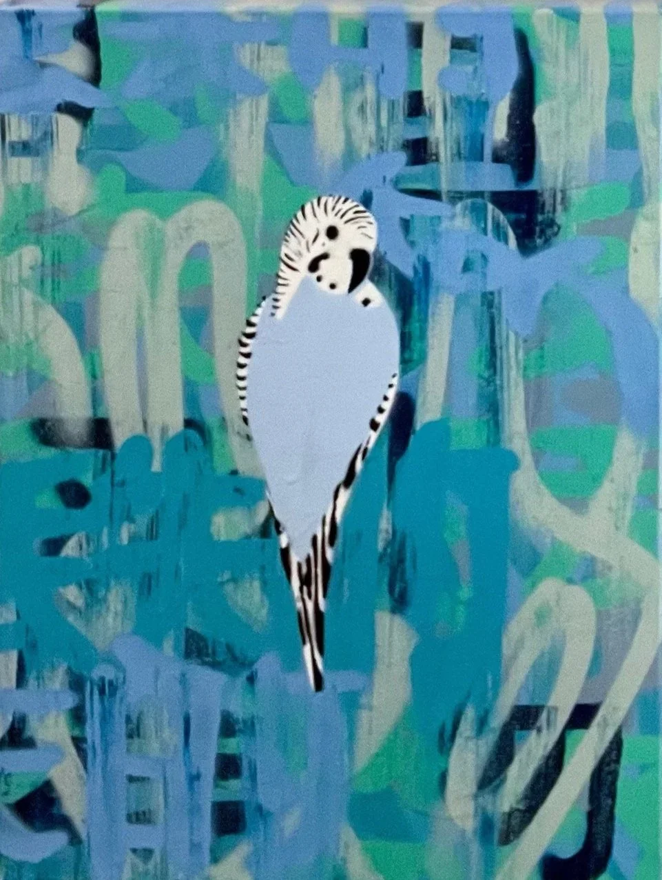 Four+small+blue+budgies.jpg