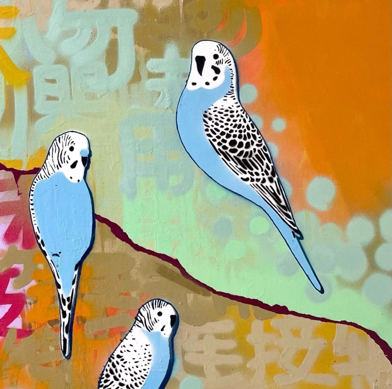 Four+Blue+Budgies+in+the+bush.jpg