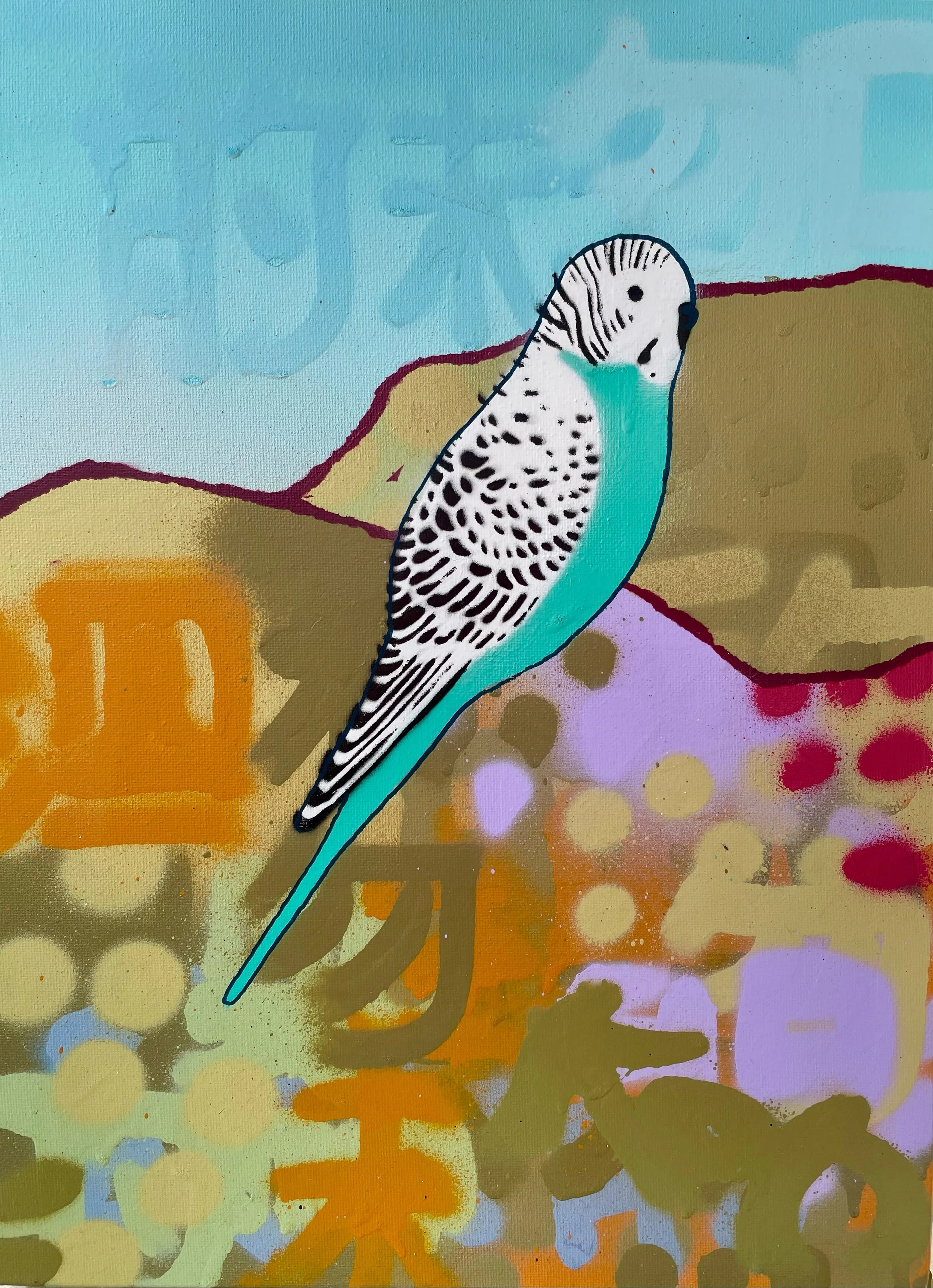 Small Blue and White Budgie no.1.jpg