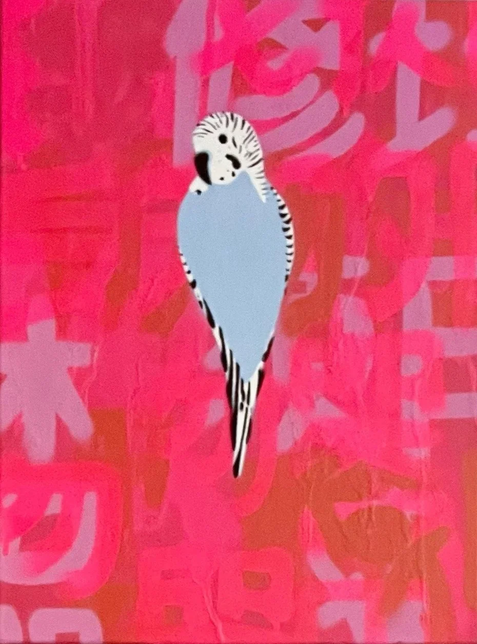 Four+small+blue+budgies.jpg