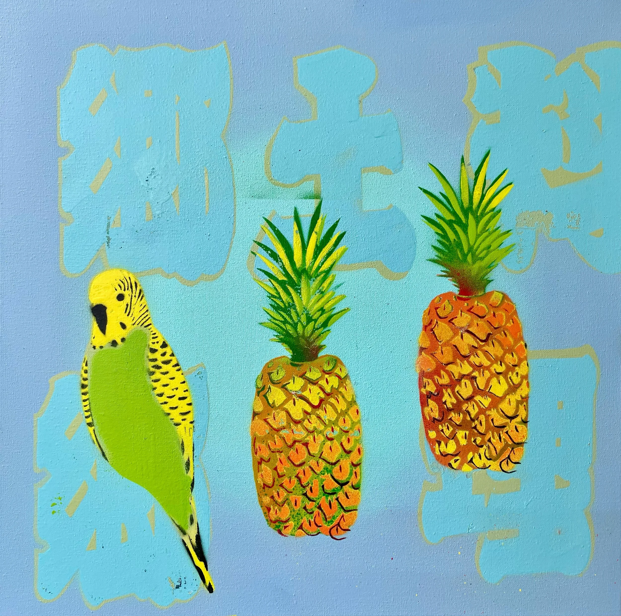 Budgie, Pineapple, Pineapple.