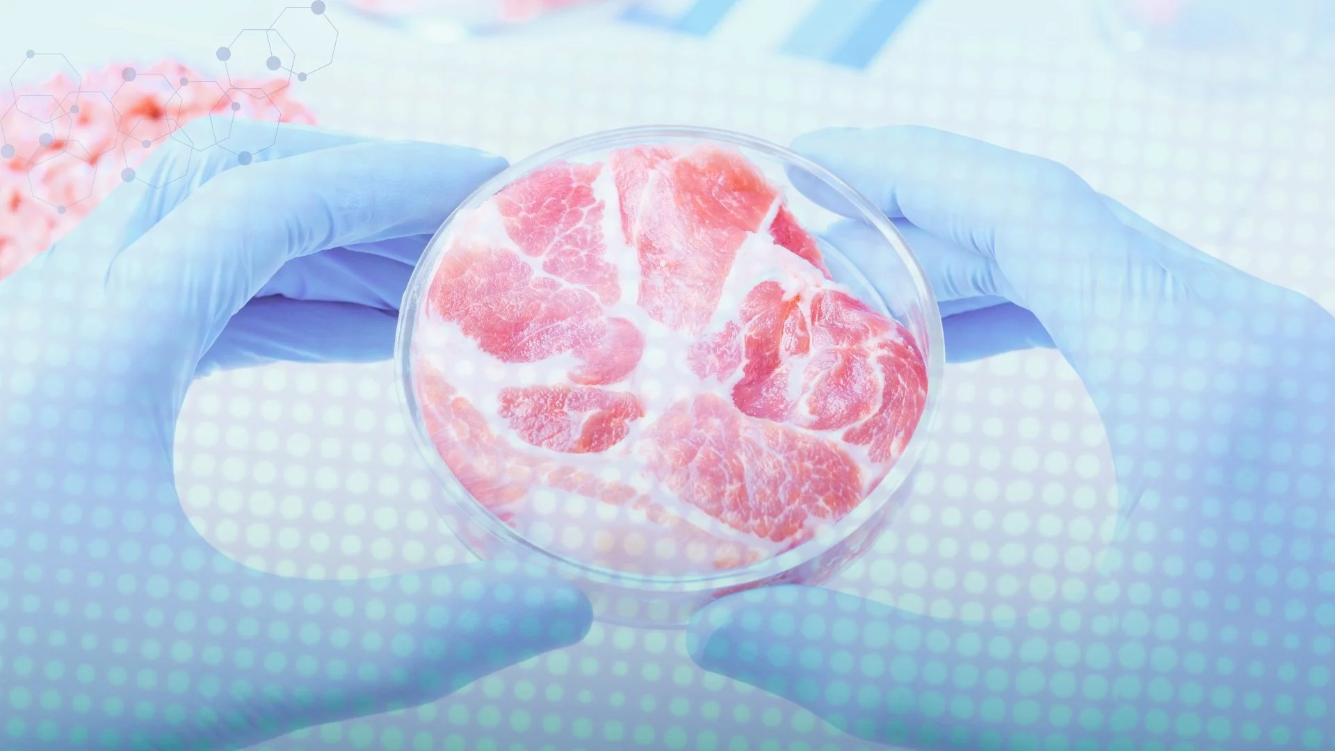 Food Tech's Eco-Shift: Sustainable Cell-Cultured & Plant-Based Advances ...