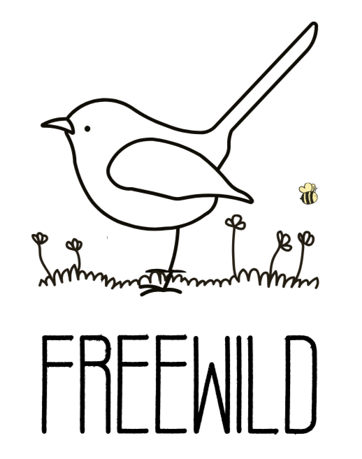 The Freewild Society: Rewild your child.