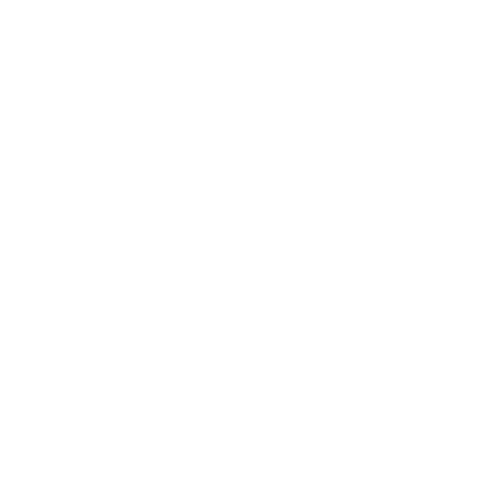Avstr Logomark