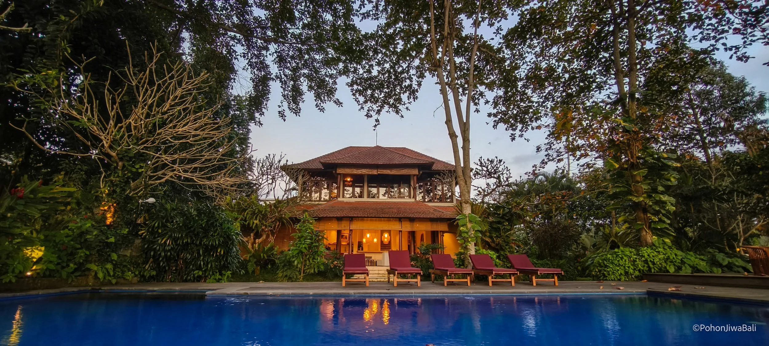 A tropical resort scene with a view of a swimming pool in the foreground, surrounded by lounge chairs, lush trees, and a traditional wooden house with a tile roof and large windows in the background. High-end retreat center in Pejeng, Ubud, Bali