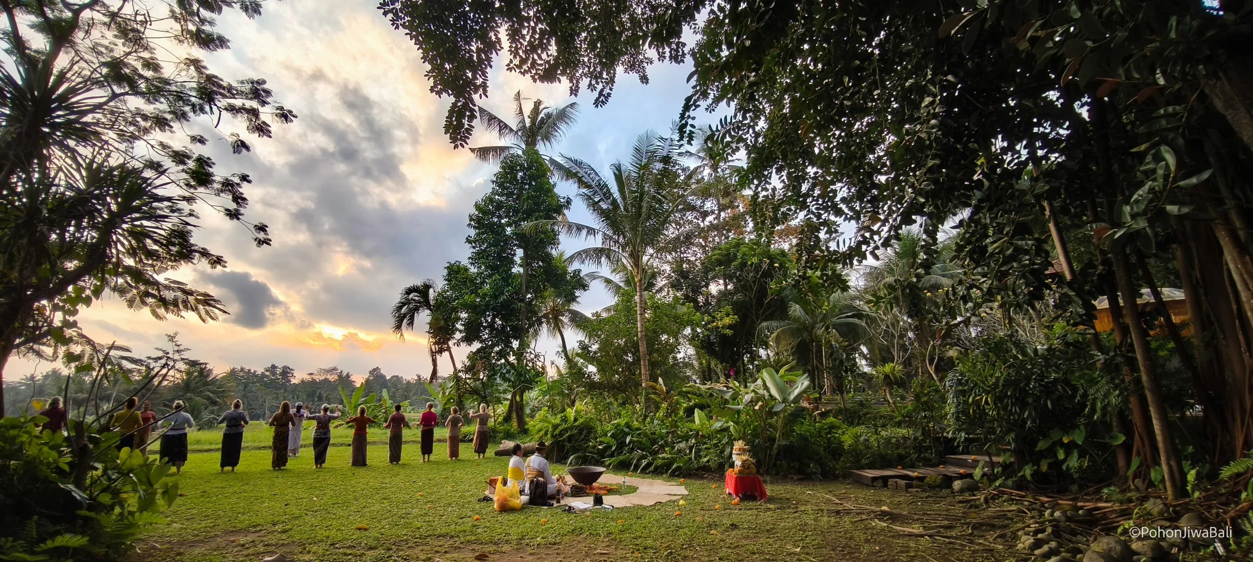 Pohon Jiwa Field