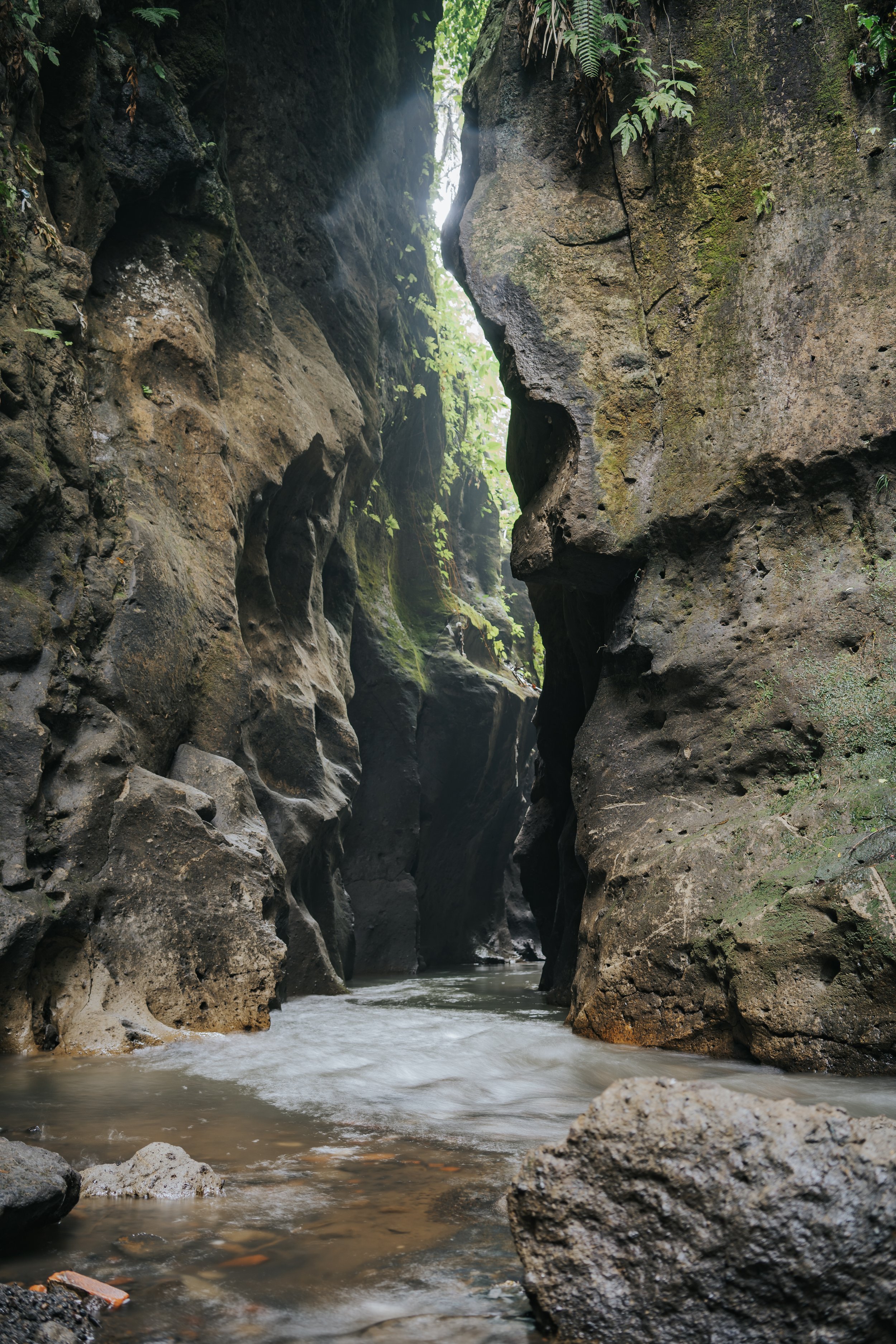 A narrow canyon with rocky walls and a small river flowing through it, with sunlight shining through the top.