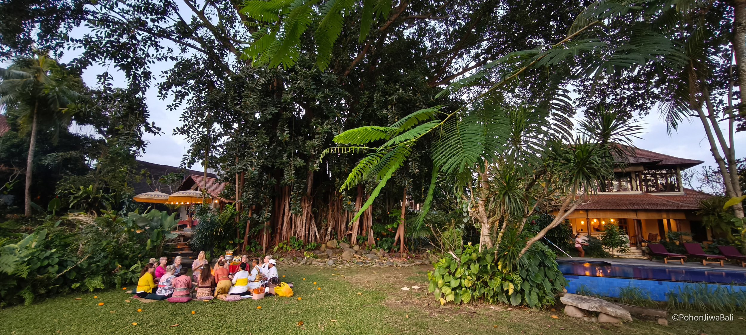 People gathering outdoors near a large tree and a building with warm lighting, in a tropical setting with lush greenery and a swimming pool. High-end retreat center in Pejeng, Ubud, Bali