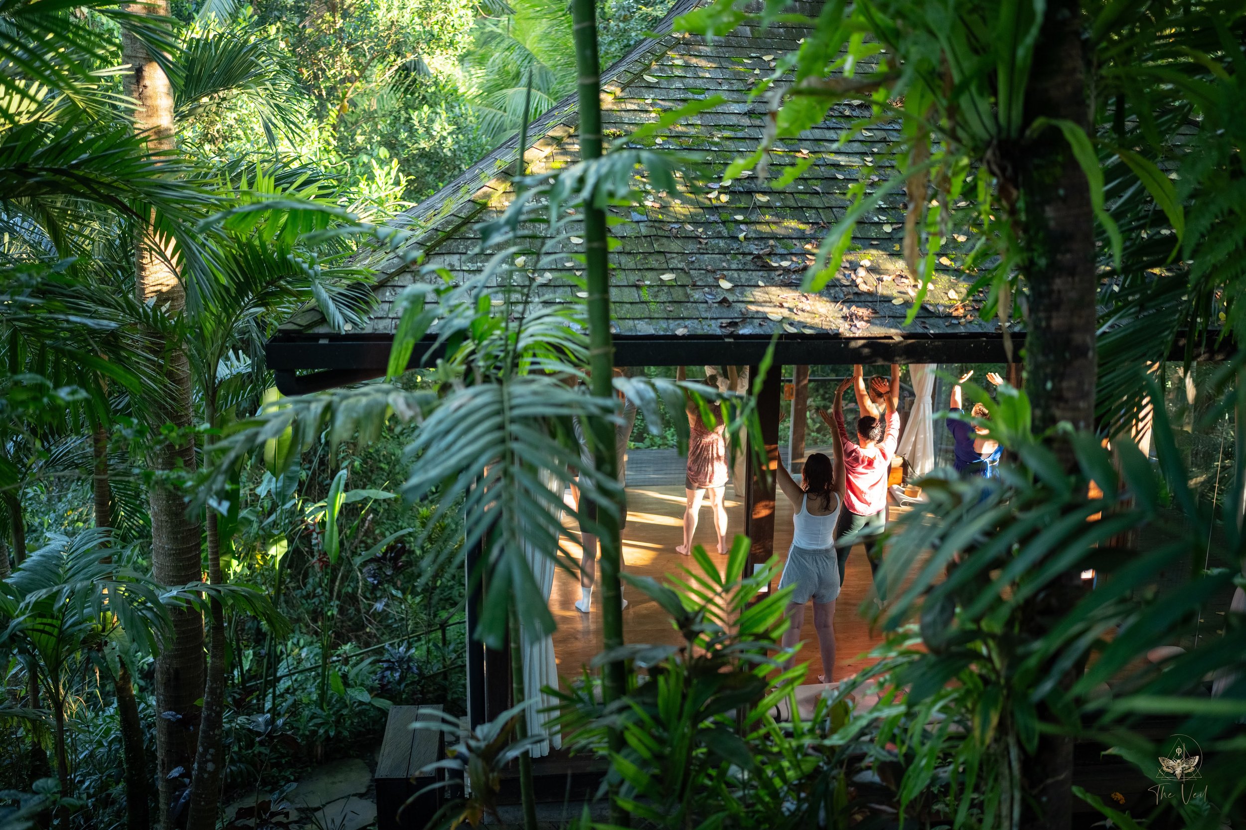 People practicing yoga or meditation on a wooden deck inside a lush, green tropical garden or forest, with trees and plants surrounding them and sunlight filtering through the leaves. High-end retreat center in Pejeng, Ubud, Bali