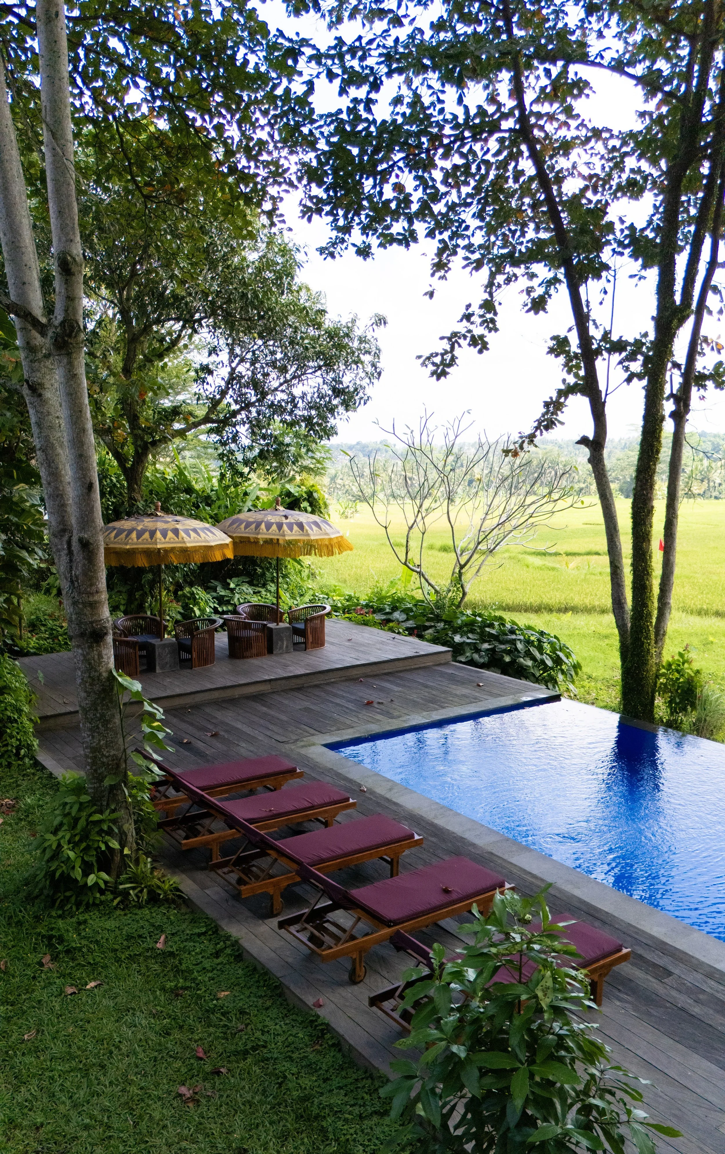 A backyard scene featuring a small swimming pool with a deck, six lounge chairs with red cushions, and two yellow umbrellas. The area is surrounded by lush green trees and vegetation. High-end retreat center in Pejeng, Ubud, Bali