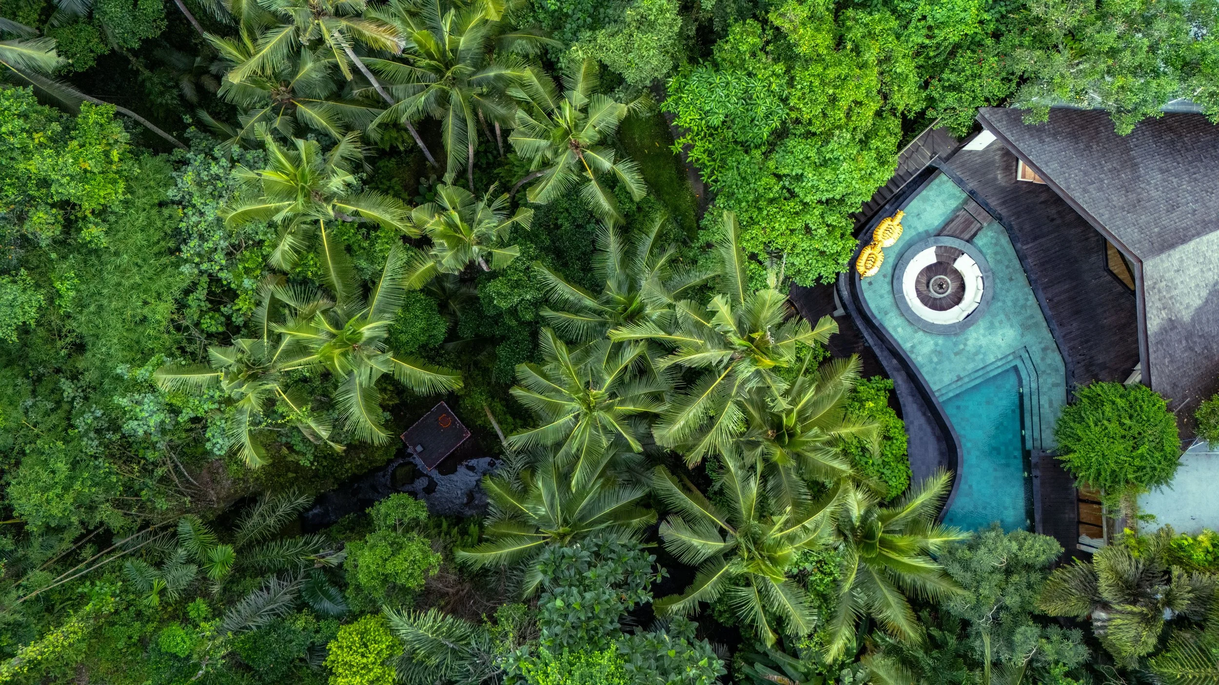 An aerial view of a lush green tropical landscape with palm trees surrounding a house with a swimming pool in the yard. High-end retreat center in Pejeng, Ubud, Bali, Dwa Chandra