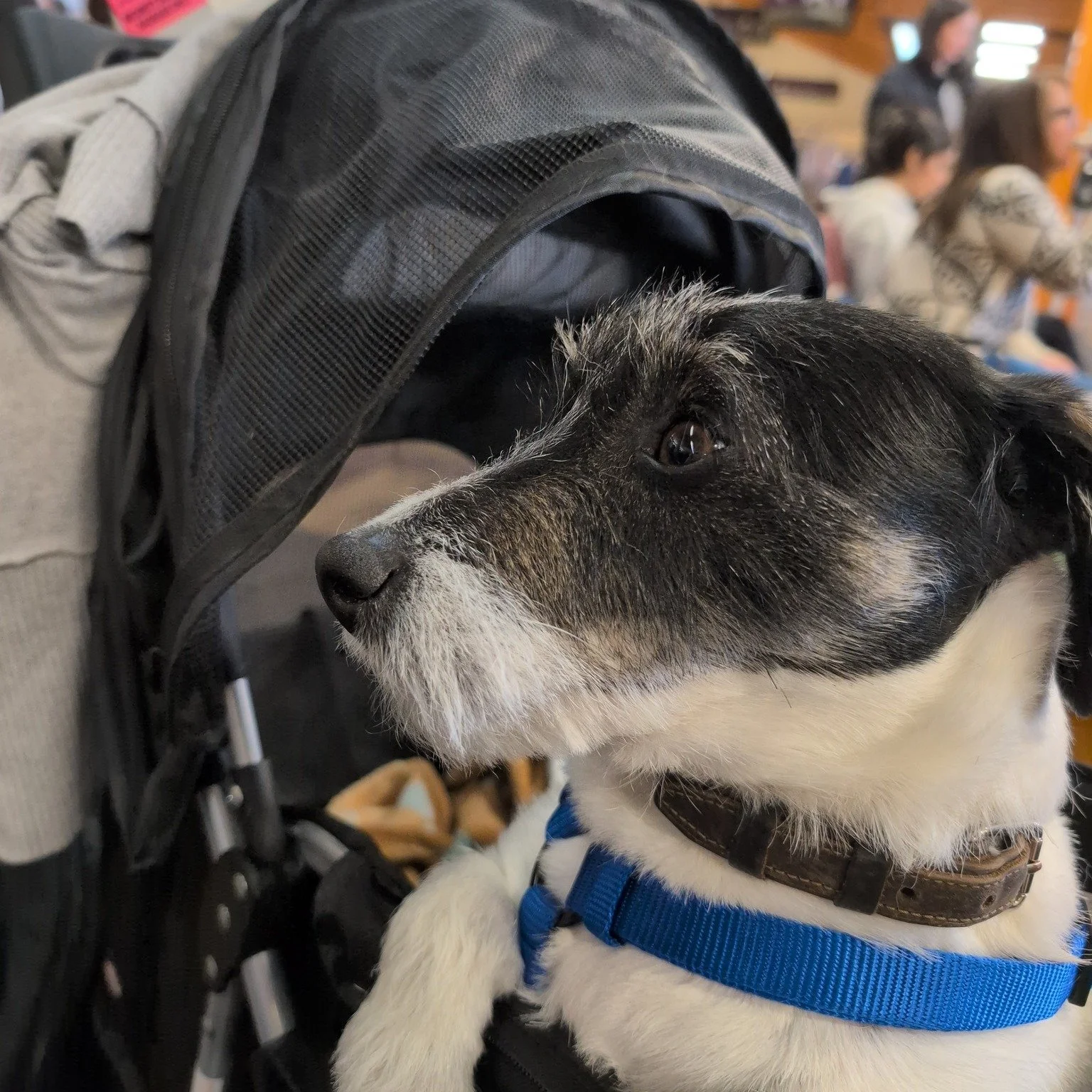 Being &ldquo;nice&rdquo; is getting expensive.
Not in money.
In mental load.

If you&rsquo;ve ever delayed a follow-up, an invoice, or a boundary because you didn&rsquo;t want to feel pushy&hellip; you&rsquo;re not alone.

A lot of smart, capable bus