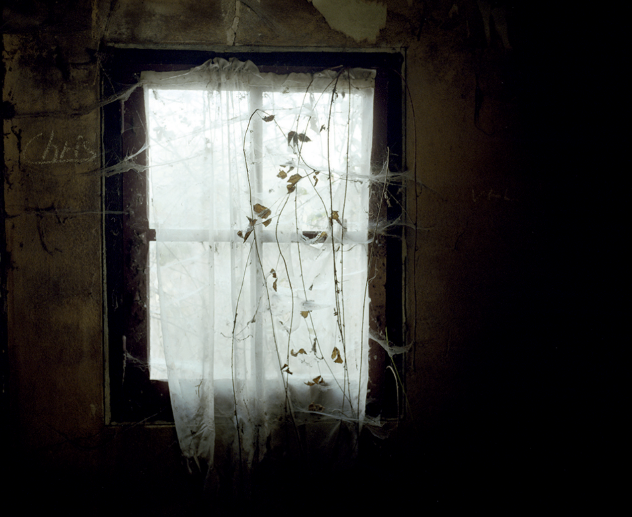 Une fenêtre ancienne avec des rideaux usés et des toiles d'araignées, laissant passer une lumière fade dans une pièce sombre et abandonnée.