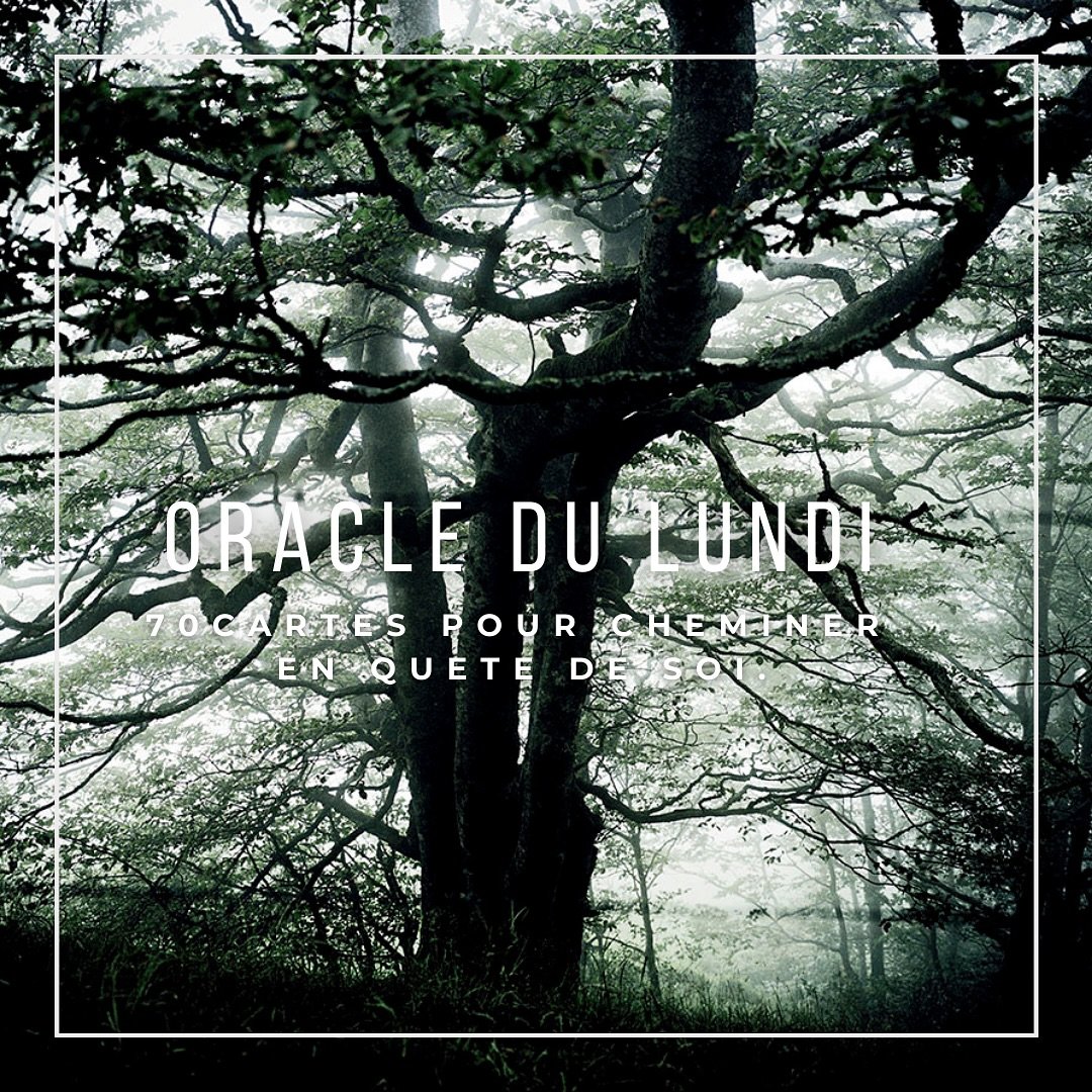 🌲 L’Oracle du Lundi 🌲

“Quelle est ta peur ?

Marcher m’a appris à écouter mes peurs plutôt qu’à les fuir. Chaque pas sur Compostelle, chaque souffle dans la nature, m’a guidée vers pl