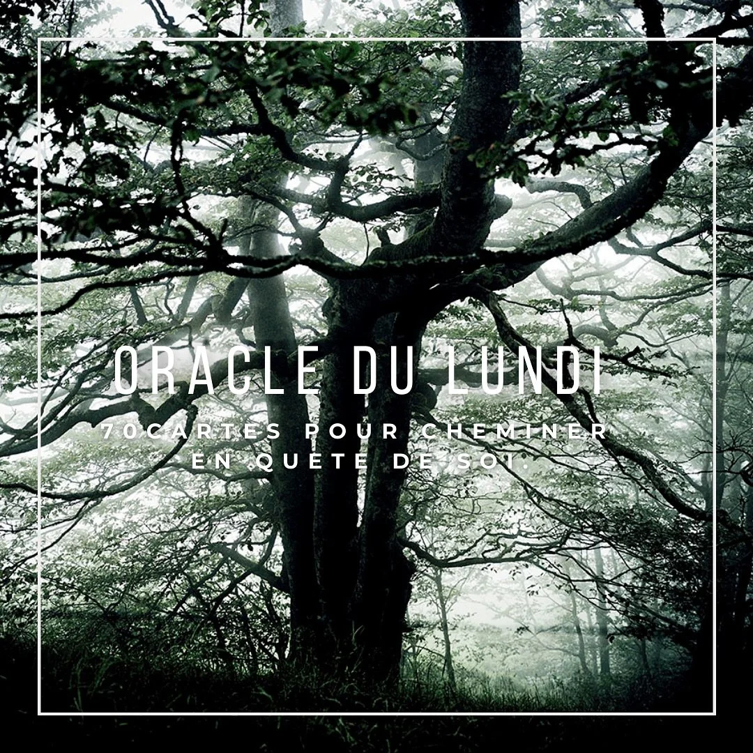 🌲 L&rsquo;Oracle du Lundi 🌲

&ldquo;Quelle est ta peur ?

Marcher m&rsquo;a appris &agrave; &eacute;couter mes peurs plut&ocirc;t qu&rsquo;&agrave; les fuir. Chaque pas sur Compostelle, chaque souffle dans la nature, m&rsquo;a guid&eacute;e vers pl