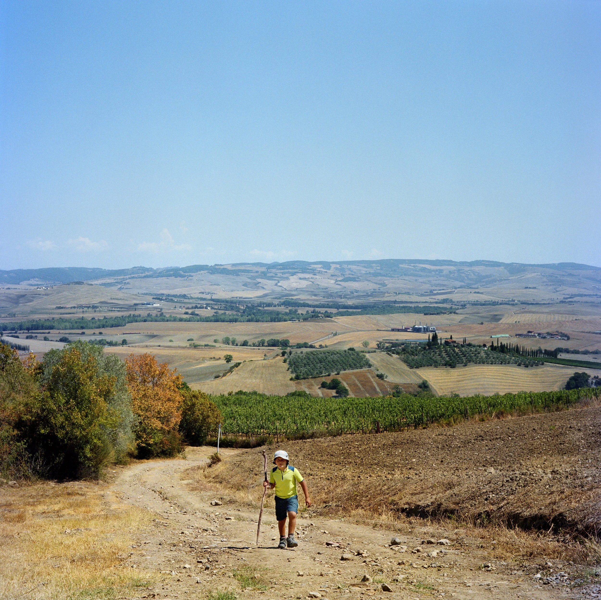 A child walks along a country lane with a stick, surrounded by fields and hills in a sunny rural landscape.