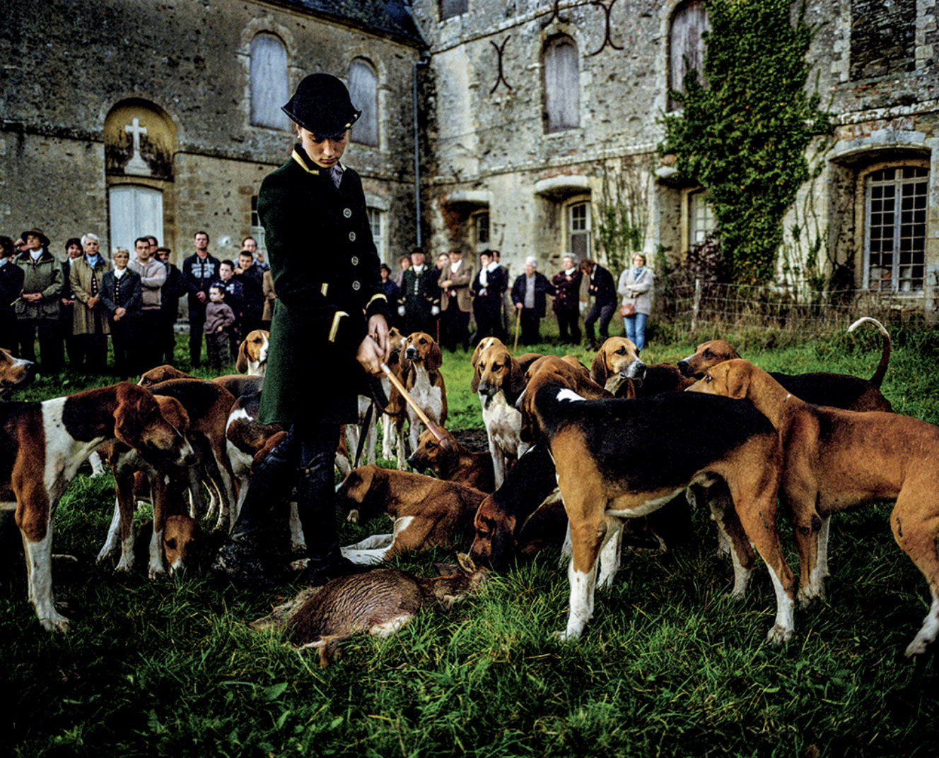 Un garçon avec un manteau vert foncé et un chapeau noir entoure un groupe de chiens de chasse, en position de chasse lors d'une chasse au sanglier, avec une famille regardant derrière. La scène se déroule devant un vieux bâtiment en pierre avec des f