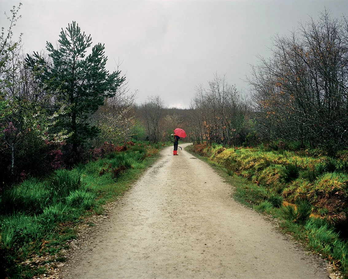 A person walks with a red umbrella on a dirt road surrounded by trees in autumn, under a gray sky.
