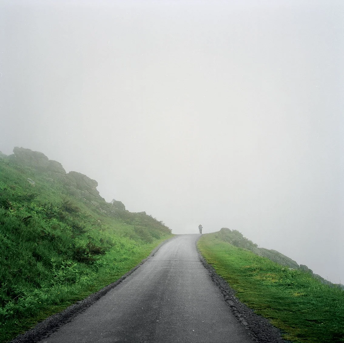 Mountain path surrounded by greenery with a person in the distance, visibility limited by fog.