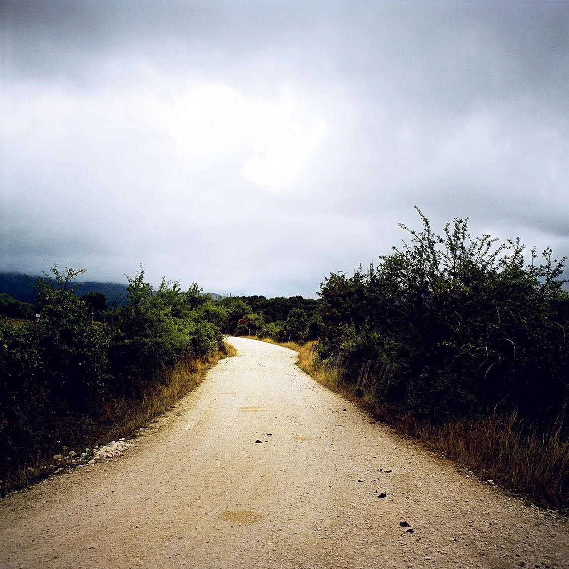 Dirt road winding through the countryside with bushes and a cloudy sky