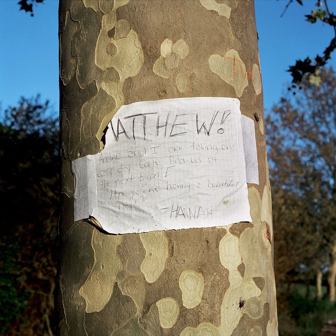 A tree with a note taped to it. The note is handwritten and reads: "MATTHEW! Andre and I are talking on an easy day. Come find us at the next town. Hope you like having a beautiful day! - HANNAH".