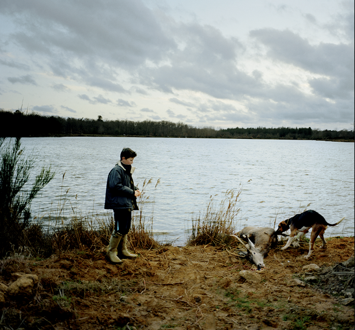 Jeune garçon avec des bottes en caoutchouc regardant un cadavre d'animal sur la rive d'un lac, avec deux chiens qui examinent la scène, ciel nuageux.