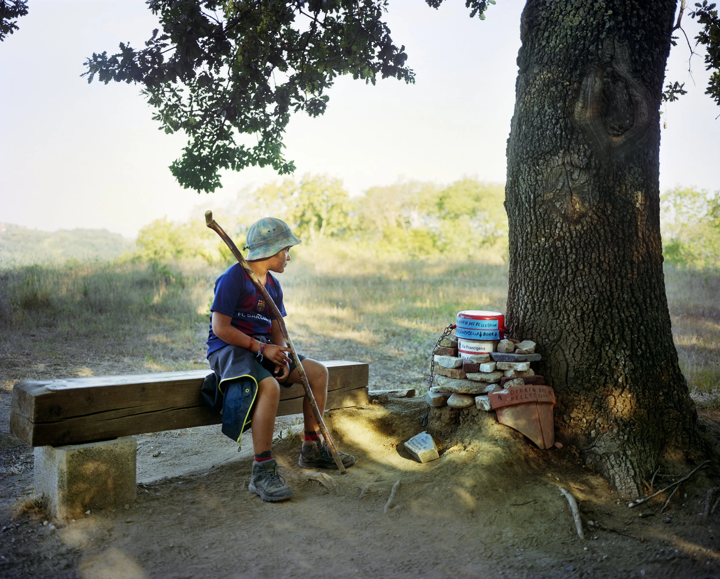 A boy sitting on a wooden bench under a tree, looking at a small pile of stones and cans near the trunk of a tree, in an open-air landscape with trees and a clear sky.