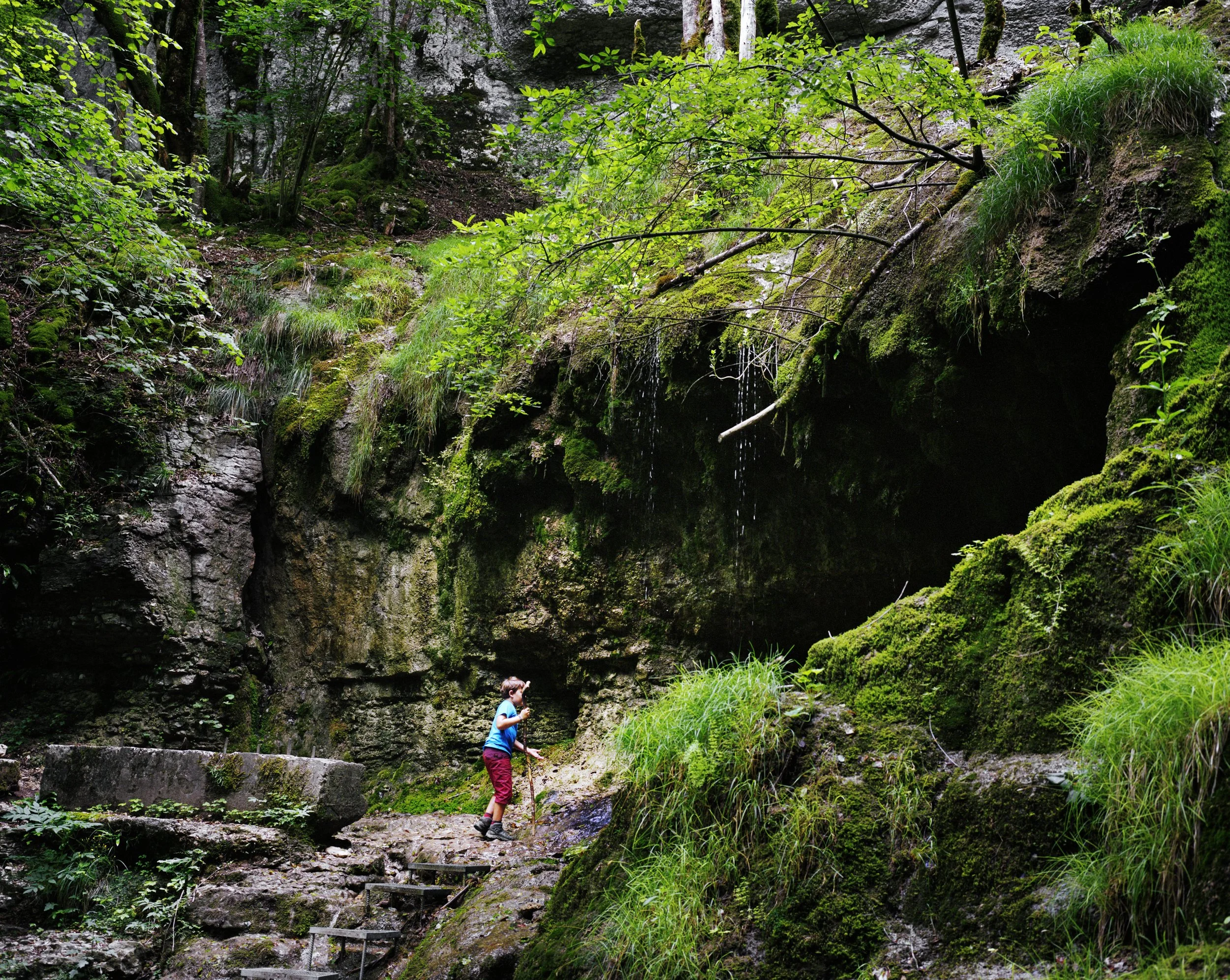 A child hikes through a forest with rocks and green vegetation, using a stick. The forest is dense with moss and trees.
