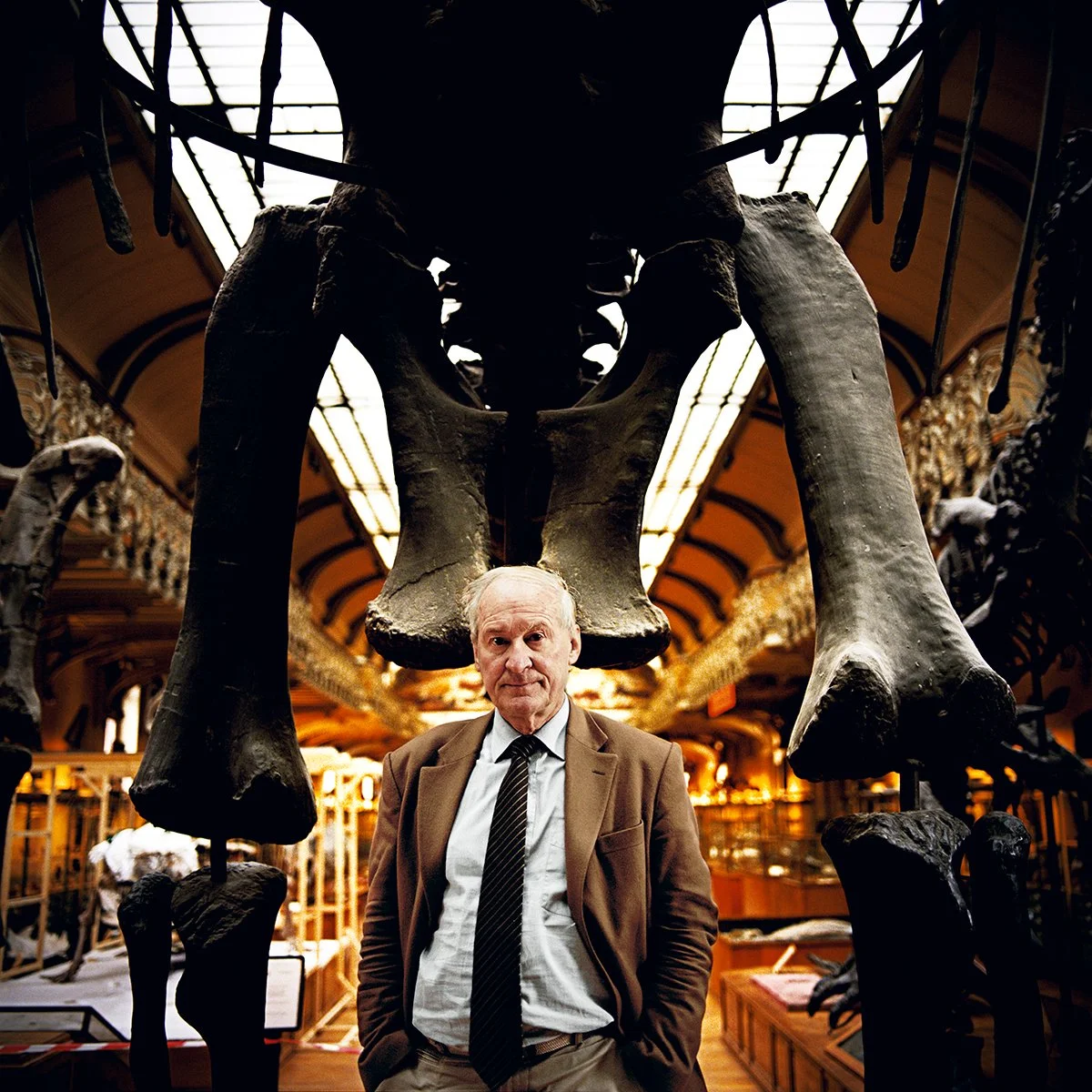 An elderly man dressed in a suit in a natural history museum, with a dinosaur skeleton in the background.