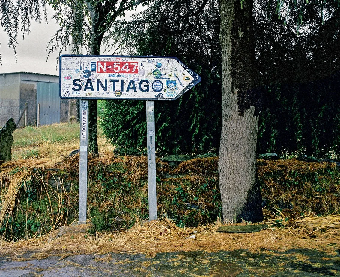 Direction sign for Santiago, with a background of trees and vegetation, and ivy covering part of the tree.