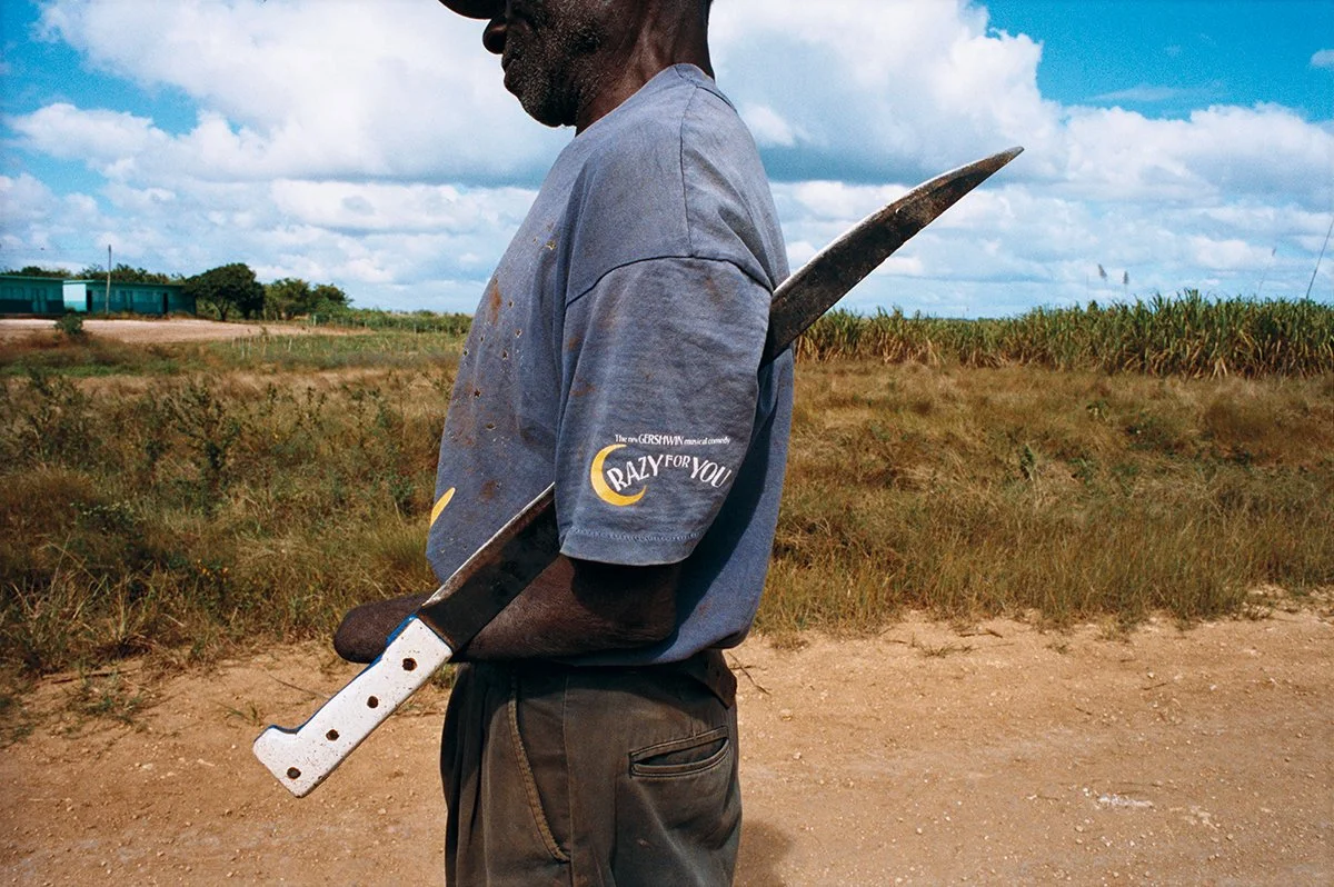 A man holding a machete embedded in his arm, wearing a grey t-shirt with a logo, in a straight line in a rural landscape with fields and a cloudy sky.