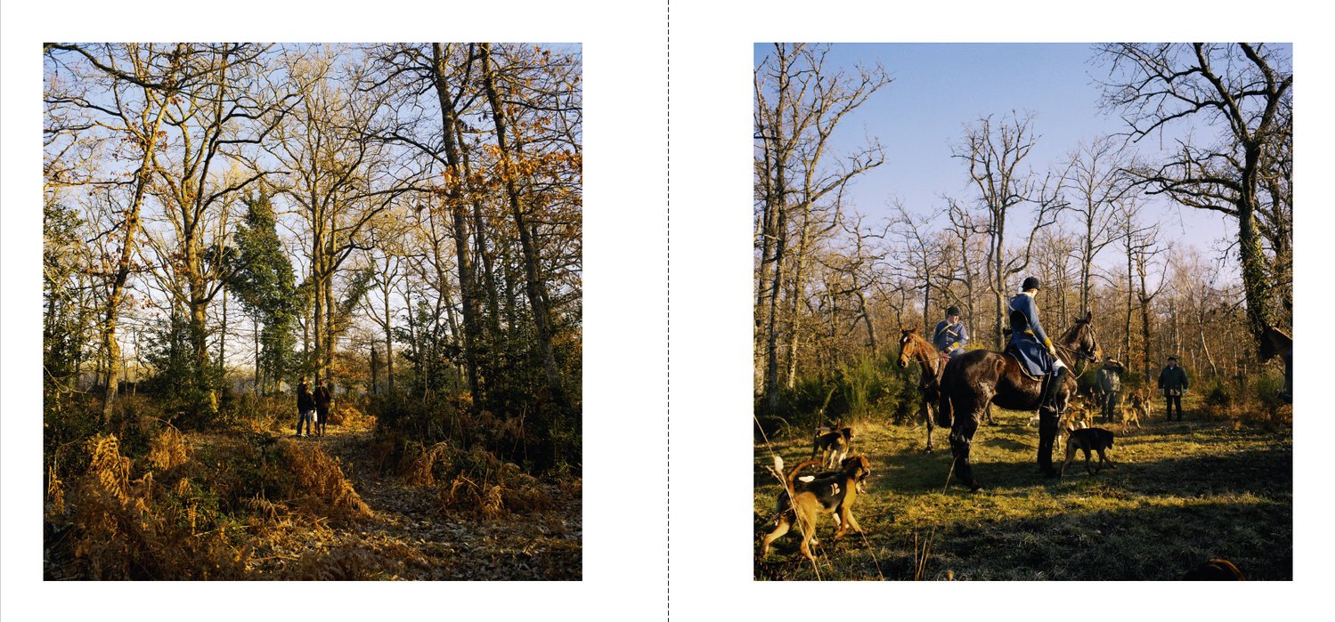 Deux photos prises dans une forêt en automne. La première montre deux personnes marchant sur un sentier entouré d'arbres nus, la seconde montre des cavaliers et des chiens dans une clairière boisée.