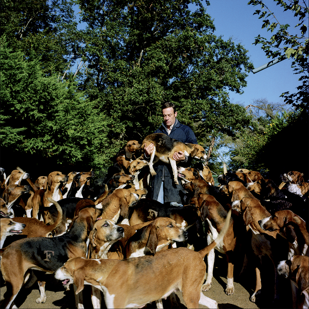 Un homme tenant un chien dans ses bras entouré de nombreux chiens de différentes races, en plein air avec des arbres verts en arrière-plan.